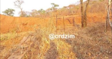 Untold story of Manhize and the fallen graves